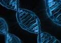 Giải pháp y học công nghệ gene và những ứng dụng tuyệt vời trong điều trị bệnh