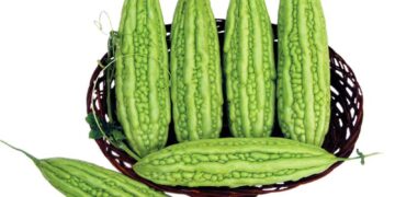 Đừng lạm dụng công dụng của khổ qua nếu không muốn rước họa vào thân