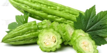 3 LOẠI THẢO DƯỢC QUÝ ĐIỀU TRỊ TIỂU ĐƯỜNG